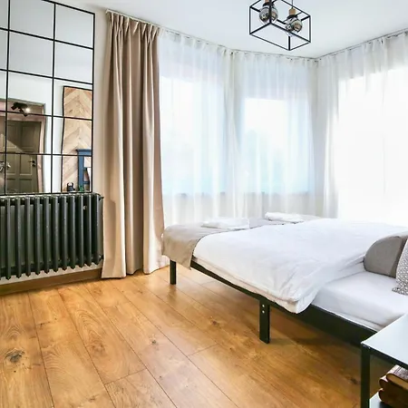 Apartment Snila *